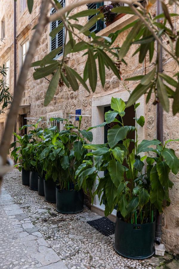 דוברובניק B&B Buza House מראה חיצוני תמונה